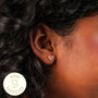 Watermelon Stud Earring